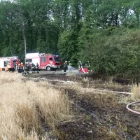 100-2019-0708-brand_freiflache_7.jpg
