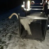 foto_schwan_2.jpg