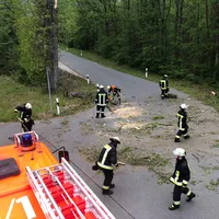 03062019-baum_auf_fahrbahn_1.jpg