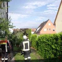 bild_1_komprimiert.jpg