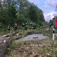 03062019-baum_auf_fahrbahn_2.jpg