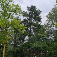 20240902_082824.jpg
