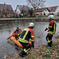 01.12 schwan 1.jpg