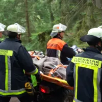 99-2019-0707-thl-thl-tragehilfe_3.jpeg