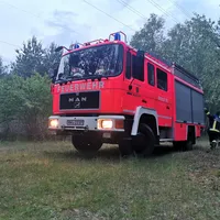 03062019-waldbrand_1.jpg