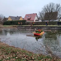 01.12 schwan 2.jpg