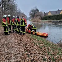 Schwan 01.12.jpg